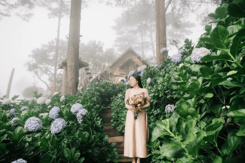 Khoảnh khắc bạn hòa mình vào thiên nhiên giữa những đóa cẩm tú cầu bung nở tạo nên bức tranh thơ mộng